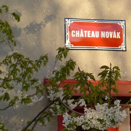 Orli Hnizdo At Chateau Novak Oda ve Kahvaltı