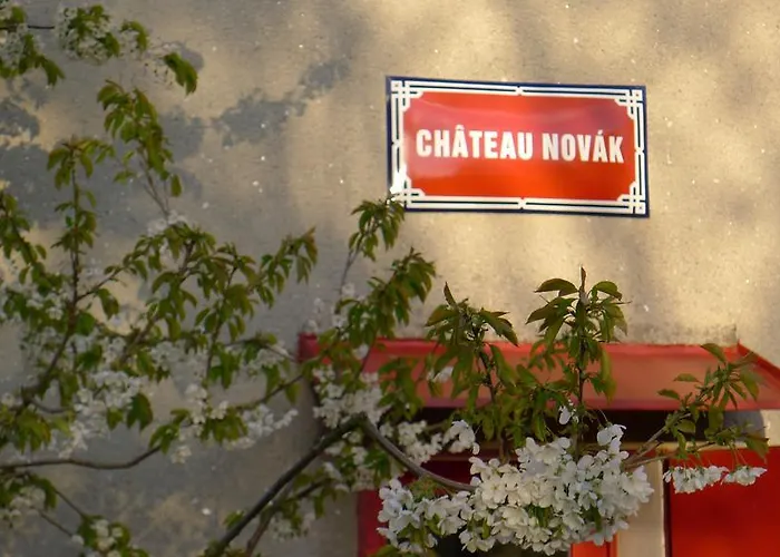 Orli Hnizdo At Chateau Novak Frühstückspension